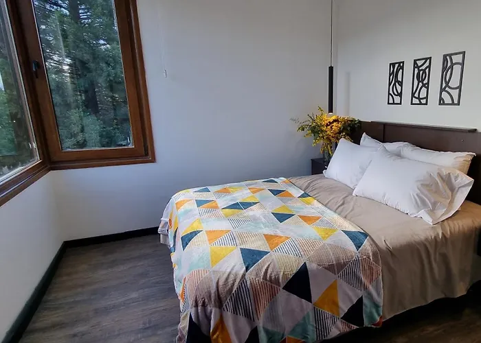 Palo Santo Apartments, Departamento De 1 Dormitorio